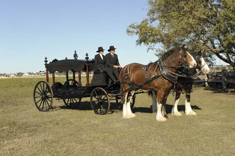 Burstows' horse-drawn hearse with two Clydesdale horses and drivers in traditional dress.