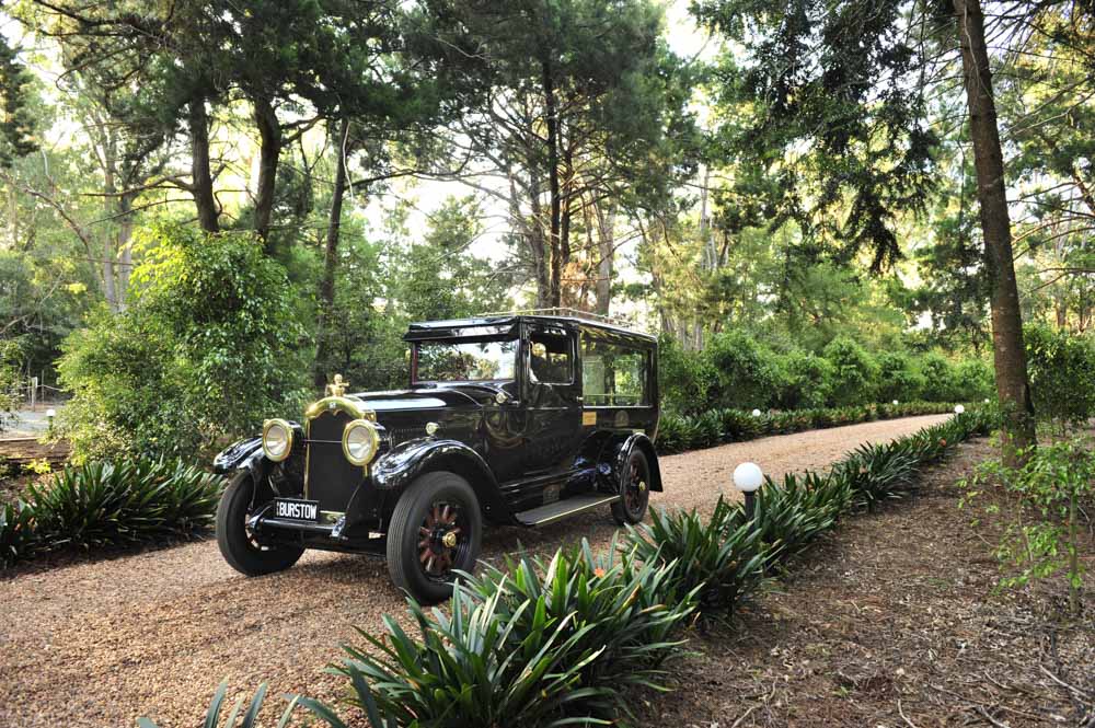 Burstows' vintage hearse on the tree-lined drive through the gardens.